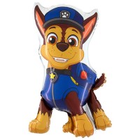 гонщик